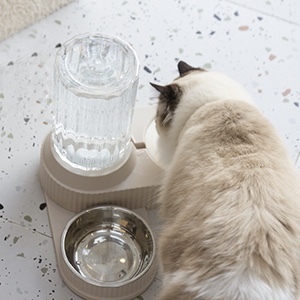 2 in 1 ciotole per cani e gatti Set per alimenti per animali domestici e ciotola per bere acqua resistente ciotola staccabile per cani e gatti - Product Image 2