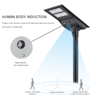 Lampu Sorot Tenaga Surya dengan Sensor Gerak Tahan Air IP65 untuk Keamanan Luar Ruangan, Penerangan Jalan & Taman