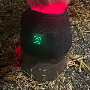 Cinturón de Terapia de Luz Roja LED <span class=keywords><strong>para</strong></span> Caballos con Baterí<span class=keywords><strong>a</strong></span> Integrada, Terapia de Luz Roja e Infrarroja de 660nm y 850nm <span class=keywords><strong>para</strong></span> Alivio del Dolor Equino - Product Image 2