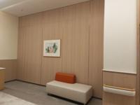 Panneau mural en résine antibactérienne pour hôpital, revêtement mural hygiénique en PVC vinyle pour projets de santé