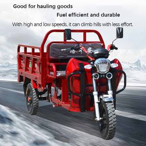 Tricycle Cargo de <span class=keywords><strong>Moto</strong></span> à Faible Consommation de Carburant, Tricycle à Moteur 3 <span class=keywords><strong>Roues</strong></span>, Tricycle Motorisé à Essence - Product Image 4