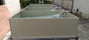 Incubatrice per Pesci ECO con Pompa d'Acqua, Vaso per Schiusa Uova di Pesce, Allevamento di Pesce Gatto e Tilapia, Altre Attrezzature per Acquacoltura - Product Image 4