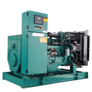 Alternateur de type ouvert 80Kw/100Kva 50/60hz 12V tension nominale carburant Diesel <span class=keywords><strong>radiateur</strong></span> en cuivre sortie cc - Product Image 2