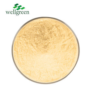 Venda A Granel Pó Orgânico De Frutas De Papaia Top Aditivos Alimentares Pó De Papaia De Qualidade - Product Image 2