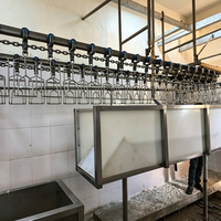Cuve d'étourdissement électrique durable, facile à nettoyer, de qualité alimentaire, taille personnalisée, pour ligne d'abattage de poulets entiers, équipement de purge sanguine