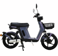 Vélo électrique hybride à assistance au pédalage pour adulte, 48V 250W 1000W, avec dispositif IoT pour la location et le partage, homologué CE CEE, type cyclomoteur, scooter, vélo tout-terrain