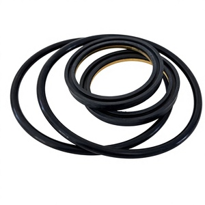 Kit de joints de valve à tige filetée NBR de 3 pouces avec inserts en laiton pour service standard <span class=keywords><strong>RDI</strong></span> TE, pièces de réparation résistantes à l'huile de 3 pouces - Product Image 4