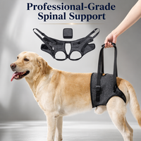 Harnais de Soutien Ergonomique pour Chien, en Polyester Durable et Respirant, pour la Rééducation de la Colonne Vertébrale et la Récupération de la Maladie Intervertebrale Discale (IVDD), Marque Personnalisée