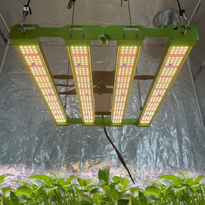 KingBrite P55 240W Samsung LM301H LM281B+ Pro LED Pflanzenlampe mit 660nm UV IR für <span class=keywords><strong>2</strong></span> x <span class=keywords><strong>2</strong></span> ft 80x80cm Zelt, ersetzt QB288 Board - Product Image 1