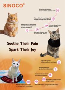 Coussinets de luminothérapie rouge certifiés CE pour équitation, instruments vétérinaires, thérapie équine, appareil pour chevaux utilisé pour le cou, le dos et le ventre - Product Image 6