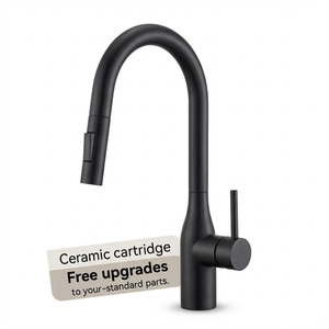 Смеситель для кухонной мойки с 2 функциями, черный, из нержавеющей стали, с одной ручкой и выдвижным распылителем - Product Image 1