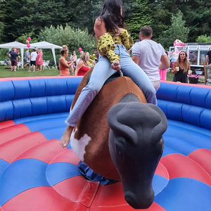Commercial Price Redeo Bull Sport <b>Games</b> Mechanical Bulls Riding <b>Inflatable</b> <b>Inflatable</b> Redeo Bull <b>Inflatable</b> Bull Commercia - Product Image 2