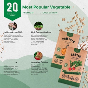 Heirloom Non-GMO 20 Variety Pack Home Garden Hydroponic Intérieur/Extérieur Jardinage-Plancher individuel Plantation de légumes dans des <span class=keywords><strong>pots</strong></span> - Product Image 5