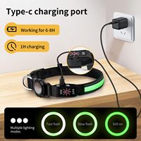 Benutzer definierter QR-Code Anti Lost Wiederauf lad bares leuchtendes Haustier halsband mit Airtag-Halter Personal isiertes wasserdichtes IPX7-LED-Hundehalsband