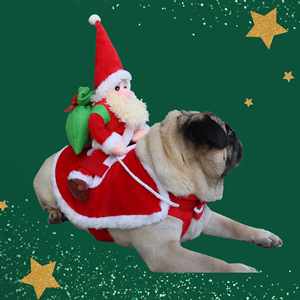 Costume amusant de Père Noël montant un chien - Tenue festive pour animaux de compagnie pour les fêtes de Noël et les accessoires photo - Product Image 3