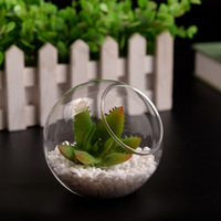 Vase en verre à coupe oblique, Globe rond transparent petit planteur en borosilicate bon marché Terrarium plat à bonbons récipient Floral pour la décoration de la maison