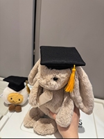 Jellcatt UK Graduation Bashful Bunny Peluche Lapin avec Toque de Docteur et Diplôme, Doux, à Longues Oreilles Tombantes