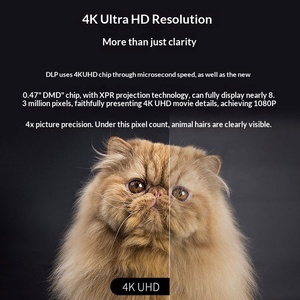 Projecteur Optoma JEV9160 Home <span class=keywords><strong>4K</strong></span> Ultra HD pour le cinéma à domicile et les jeux 240 Hz 3D CRT avec écran de projection - Product Image 6