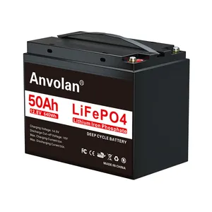 Anvolan Rechargeable Deep Cycle 12V 40Ah 50Ah 60Ah Grade A Cell Lifepo4 LFP Lithium Ion Phosphate Battery Pack