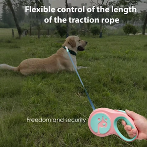 Laisse pour chien rétractable de luxe à motif de dessin animé, 5 m, en nylon plat, très vendue - Product Image 5