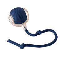 Balle interactive intelligente pour animaux de compagnie, jouet électrique mobile pour chien et chat, rechargeable par USB, balle mobile à faire bouger soi-même avec queue en corde pour animaux de compagnie