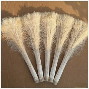 Plumes de paon blanchies 80-90CM Plumes de paon pour projets décoratifs de luxe Solutions et costumes personnalisés DIY Craft Floral - Product Image 3
