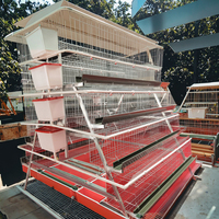 Nouvelle cage de batterie en acier de type A U-best pour poulet en ponte et volaille de caille avec une longue durée de vie à la ferme garantie 1 an