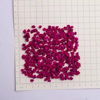 8x8mm Rode Hartvormige Drakenvrucht Thee Kubusjes Vriesgedroogd Knapperig 0% Toegevoegde Suiker Groothandel Per Stuk voor Snacks/Bakkerij/Toppings/Thee