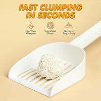 Litière pour chat 100% tofu de soja, écologique, végétalienne, à base de plantes, sans pesticide, biodégradable, jetable, de qualité alimentaire