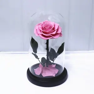 Usine Offre Spéciale fête des mères saint valentin cadeau fait à la main roses éternelles fleur préservée rose dans un dôme en verre