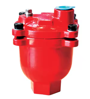 Vanne d'évacuation d'air automatique durable en fonte rouge DN25 pour hydrant de classe A et B, directement de l'usine
