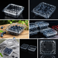 Wegwerp transparante PLA/PET fruitverpakkingen voor blauwe bessen, kersen en frambozen, lage minimale bestelhoeveelheid, geventileerde clamshell verpakkingen
