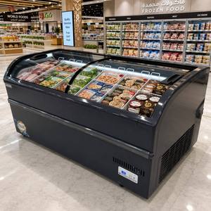 Congélateur coffre de supermarché à efficacité énergétique, réglable, pour aliments surgelés et glaces, avec affichage, contrôle électronique intégré, prise européenne - Product Image 1