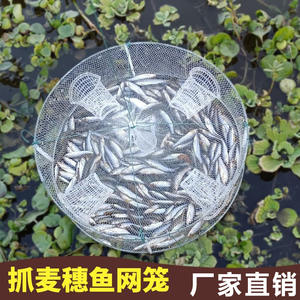 JQWOJASIERWQ828 Piège circulaire d'aquaculture pour poissons, filet de pêche extérieur de 120 cm de diamètre, piège à crabes et crevettes - Product Image 3