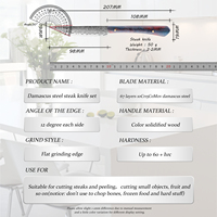 Grandsharp — ensemble de couteaux à Steak, ustensiles à Steak Premium en acier damas Non tissé à haute teneur en carbone, ensemble de 4 pièces couteaux de Table pour la famille