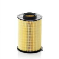 Filter Udara Mesin Mobil CV6Z-9601-A 28113-2H000 13717619267 96827723 Filter Udara untuk Ford BMW Chevrolet Hyundai