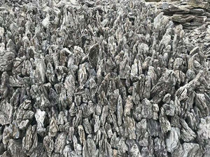 Pretty Brown Dragon <span class=keywords><strong>Aquarium</strong></span> Rock - Product Image 4