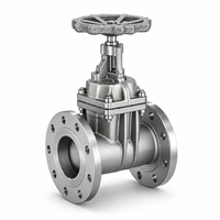 Katup Gerbang Baja Berflens Tugas Berat Manual Z41W CF8 PN16 dengan Dudukan Logam untuk Aplikasi Industri Minyak & Gas