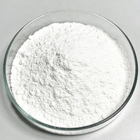 Hydroxyde de calcium en poudre de haute pureté (95 %) – Chaux hydratée et chaux calcinée pour additifs chimiques
