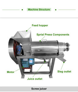 Machine à écraser et à presser les fruits commerciaux (pomme, pêche, mûre), presse-agrumes en spirale pour légumes et gingembre, presse-agrumes en spirale - Product Image 4