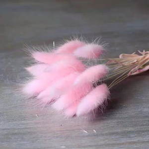 Flores secas de <span class=keywords><strong>HY</strong></span>-D9Material, ramos de hierba de cola de conejo, bolsa Opp, flores decorativas de Navidad y coronas de larga duración, 60 uds./<span class=keywords><strong>Bu</strong></span> - Product Image 3