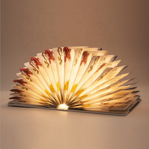 Kanlong realista portátil recargable <span class=keywords><strong>de</strong></span> la PU decoración Lámpara <span class=keywords><strong>de</strong></span> lectura del niño habitación noche <span class=keywords><strong>magia</strong></span> multi-funcional <span class=keywords><strong>de</strong></span> libro Led Luz - Product Image 5