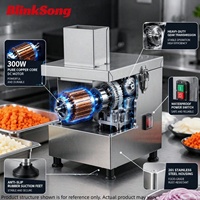 Coupe-légumes électrique 300W en acier inoxydable multifonctionnel pour découper, trancher et hacher – Qualité supérieure pour la restauration