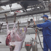 Mini ligne de traitement de viande d'équipement d'abattoir de moutons d'agneau pour la machine d'abattoir de chèvre Australie