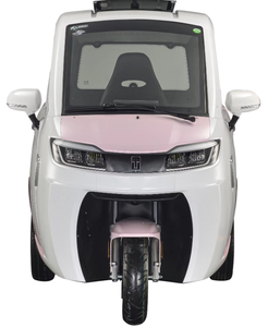 Nouvelle voiture électrique à énergie nouvelle 2025, moto électrique à 3 roues, <span class=keywords><strong>mini</strong></span> tricycle électrique, voiture électrique fermée - Product Image 2