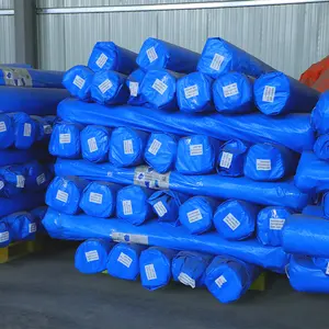 New Products High Strength Pe Plastic Tarpaulin in Roll Product Sheet