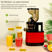 200W Elektrische Fruitpers 300ml 6 Bladen RVS Koudpers Sapcentrifuge Slow Juicer voor Camper Buitenreizen