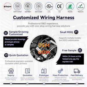 63411 Kabel Baterai Samping Truk Pembersih Salju, Kabel Harness Pengkabelan Cocok untuk Western Fisher 2 Pin 3 Plug Modul Isolasi Wiring Harness - Product Image 6