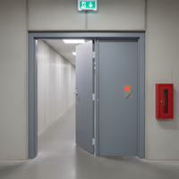 Porte en acier résistant au feu en fer forgé moderne avec isolation thermique pour supermarché, hôpital, appartement et usage extérieur