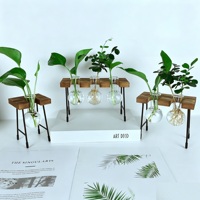 Vase en verre hydroponique minimaliste pour table avec support en bois, vase en verre créatif avec base en bois